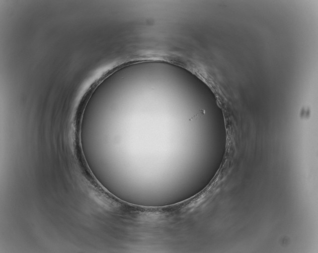 X0000096180342200802011348