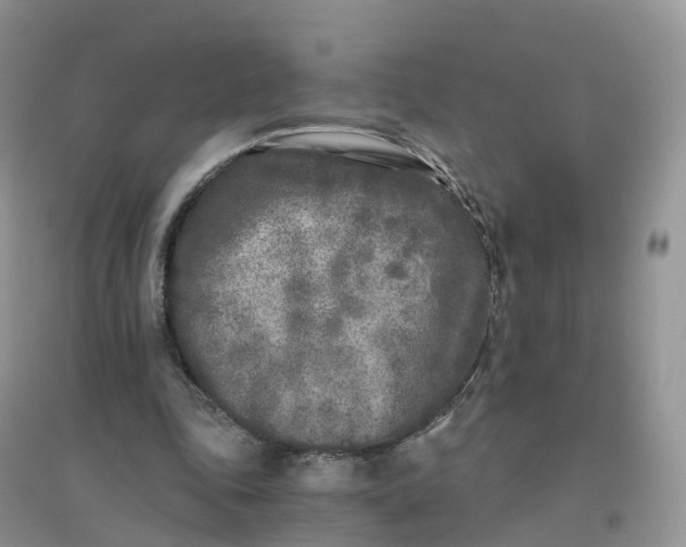 X0000096180343200802011348