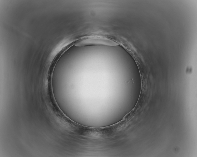 X0000096180344200802011348