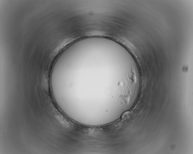 X0000096180345200802011348