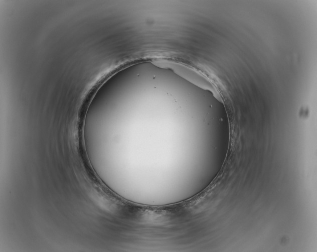 X0000096180346200802011348