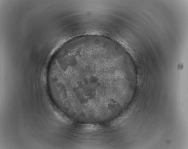 X0000096180347200802011348