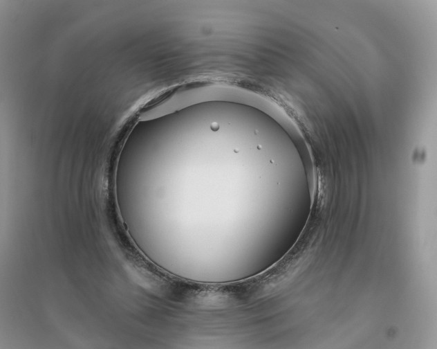 X0000096180348200802011348