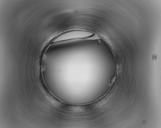 X0000096180349200802011348