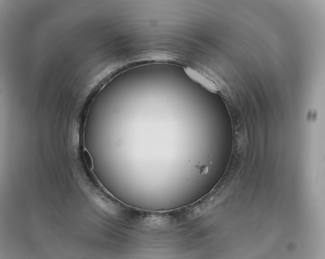 X0000096180350200802011348