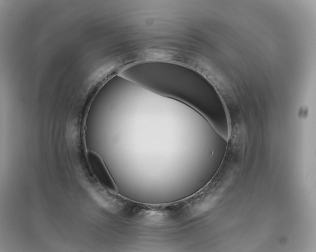 X0000096180352200802011348