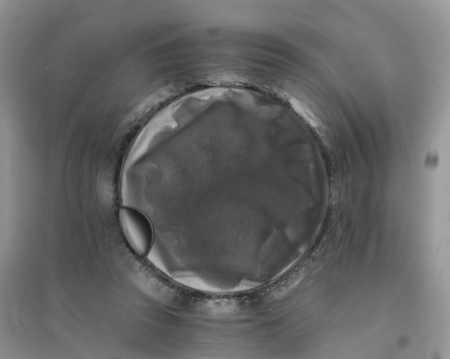 X0000096180353200802011348