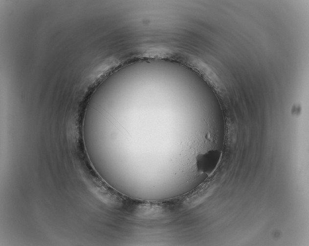 X0000096180354200802011348