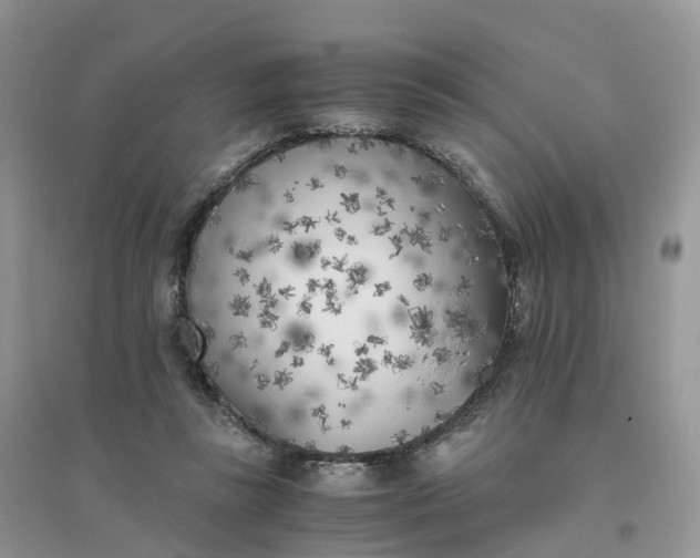 X0000096180355200802011348