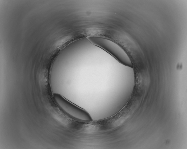 X0000096180356200802011348