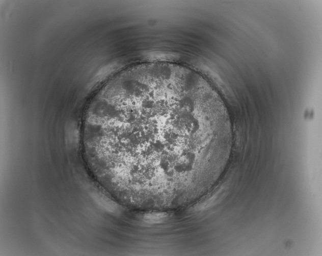 X0000096180357200802011348