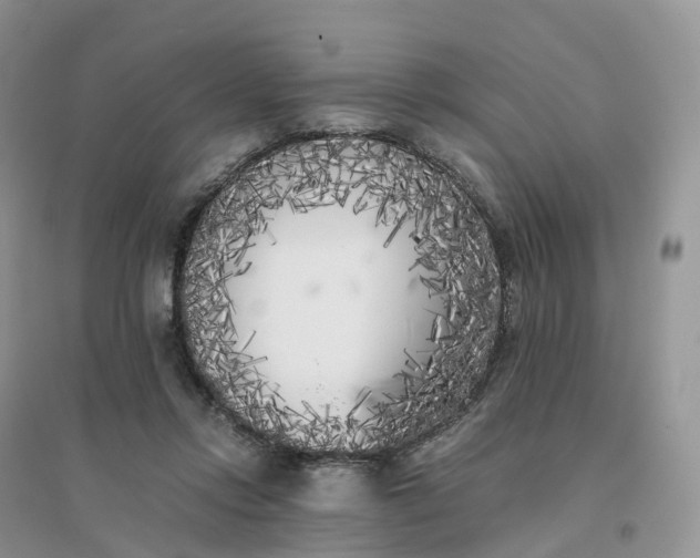 X0000096180358200802011348