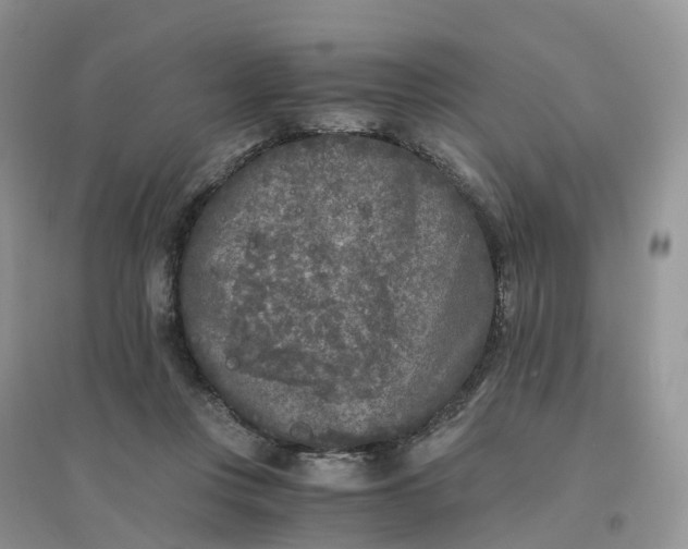 X0000096180359200802011348