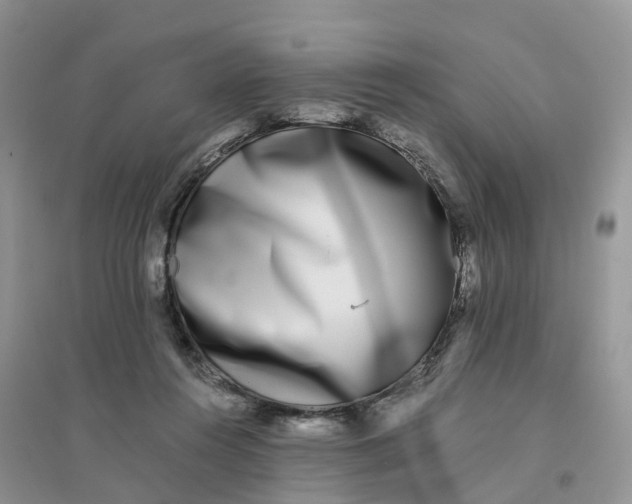 X0000096180360200802011348