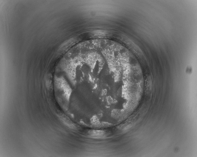 X0000096180361200802011348