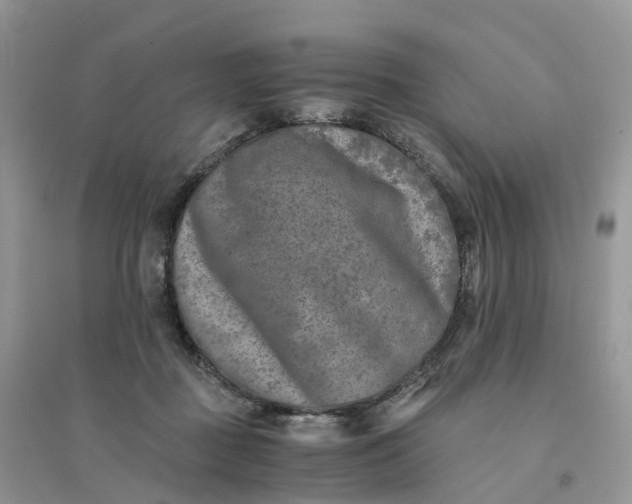 X0000096180363200802011348