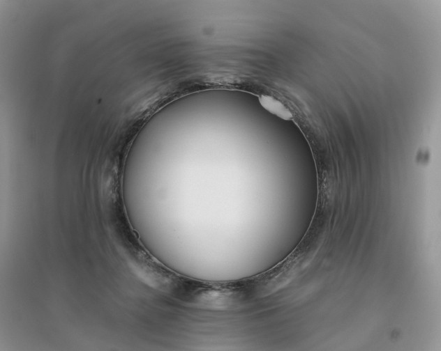 X0000096180364200802011348