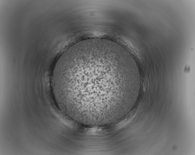 X0000096180366200802011348