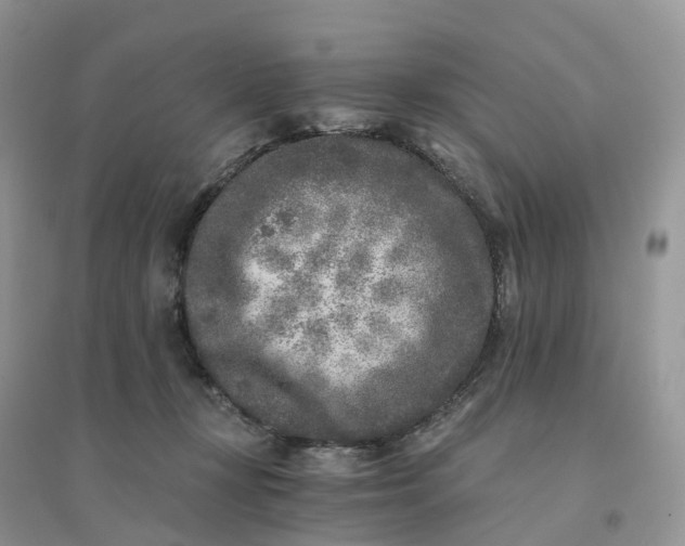 X0000096180367200802011348