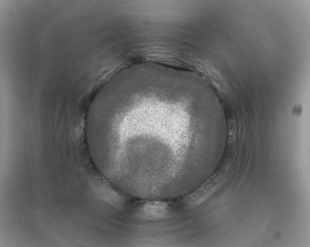 X0000096180369200802011348