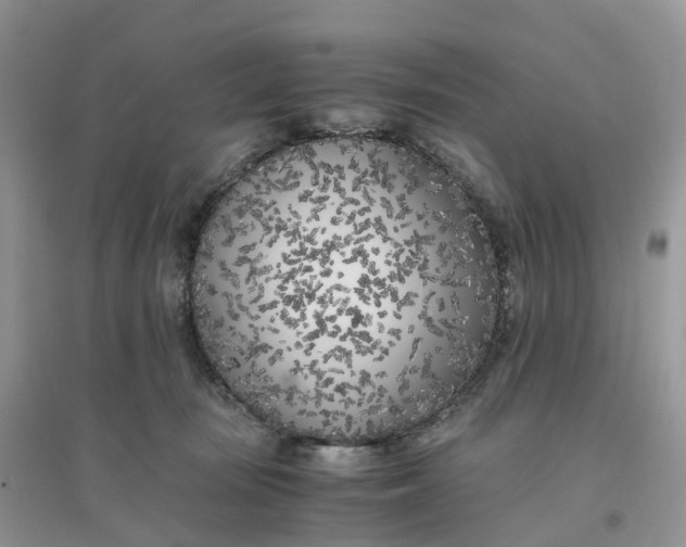 X0000096180371200802011348
