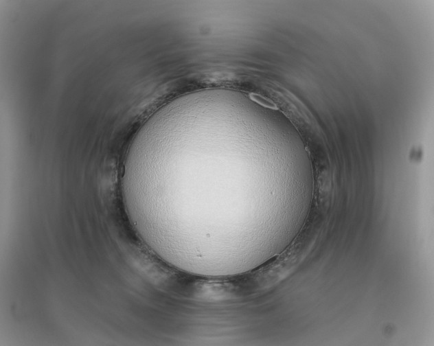 X0000096180372200802011348