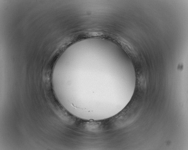 X0000096180373200802011348