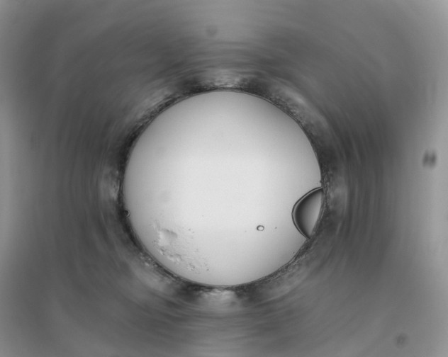 X0000096180374200802011348