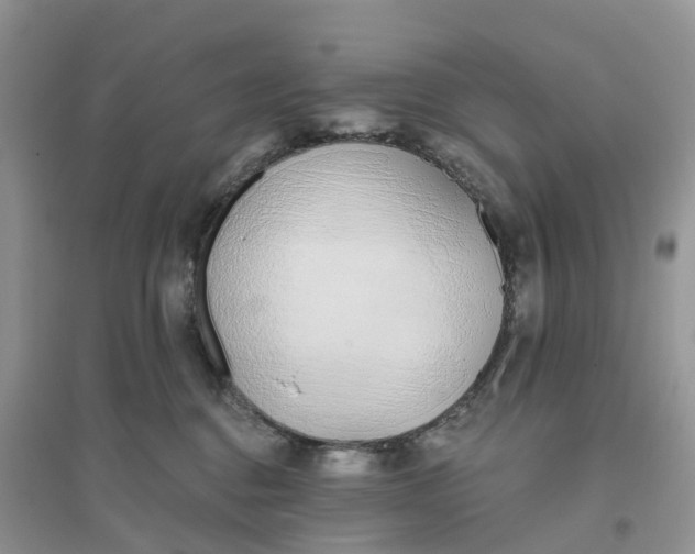 X0000096180376200802011348
