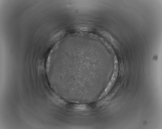X0000096180377200802011348