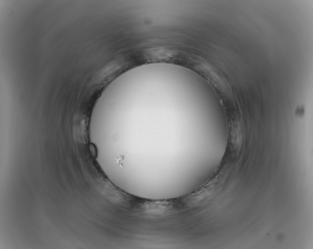 X0000096180378200802011348