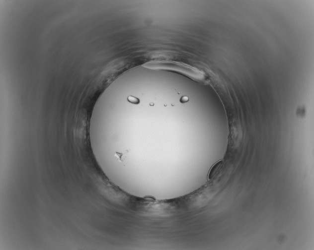 X0000096180379200802011348
