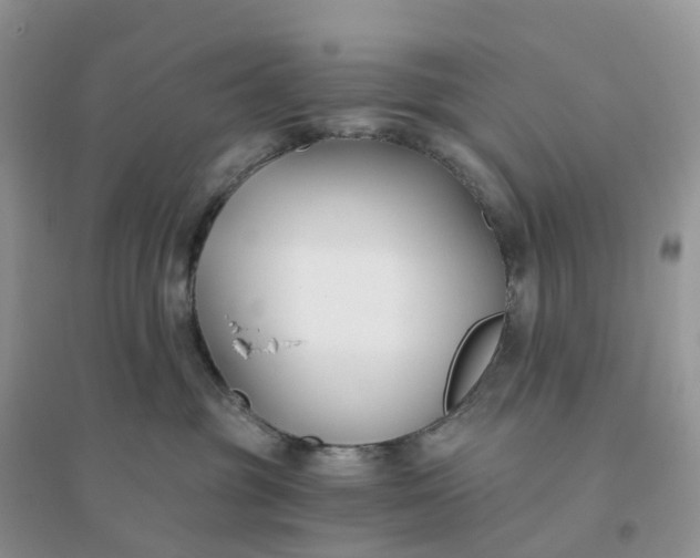 X0000096180381200802011349