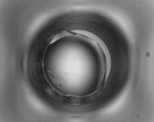 X0000096180382200802011349