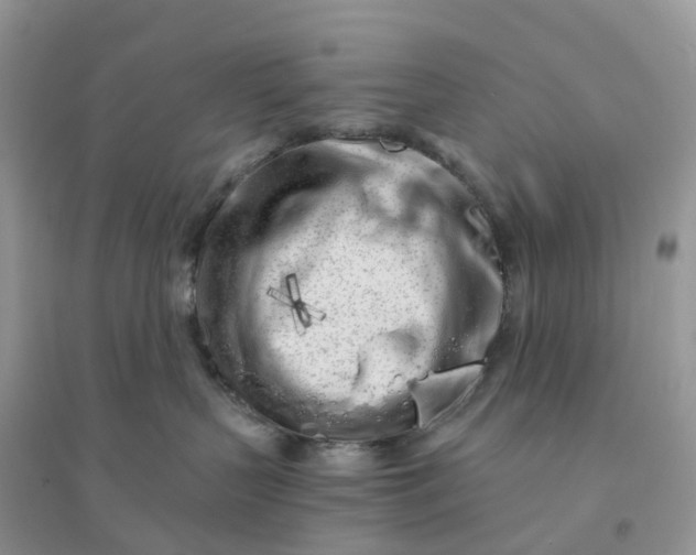 X0000096180383200802011349