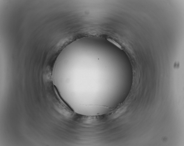 X0000096180384200802011349