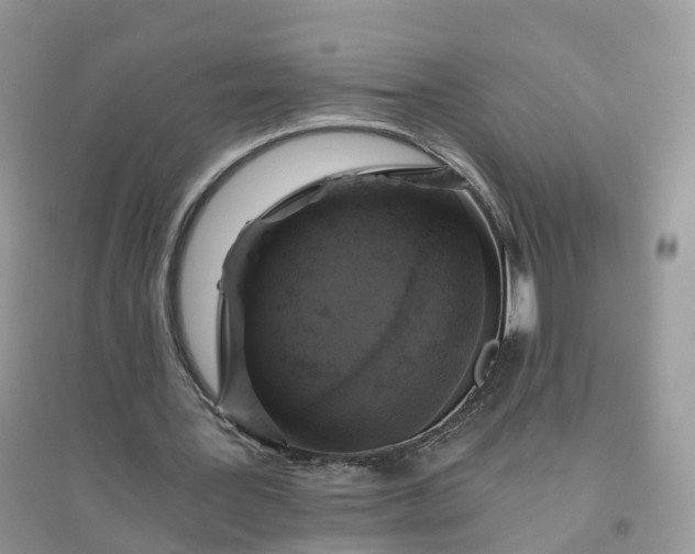 X0000096180387200802011348