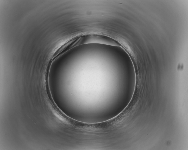 X0000096180389200802011348