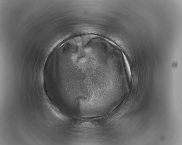 X0000096180390200802011348
