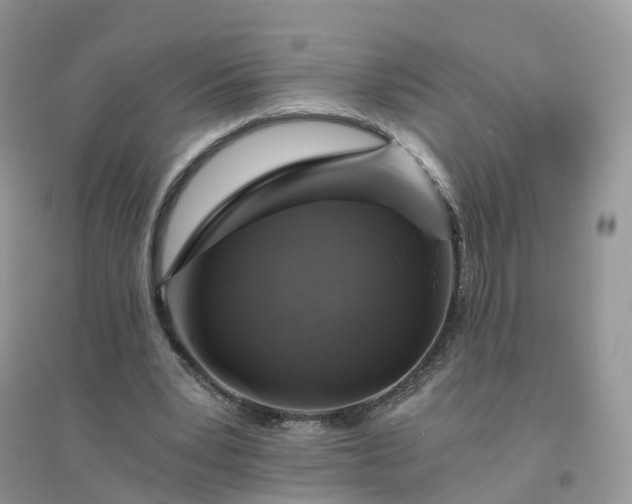 X0000096180391200802011348