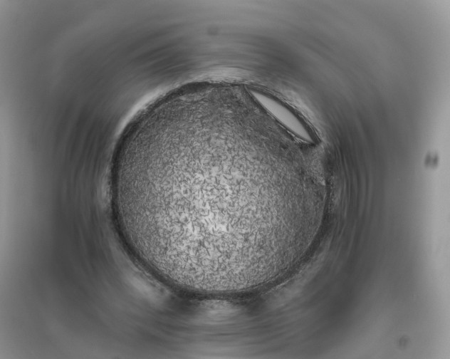 X0000096180392200802011348