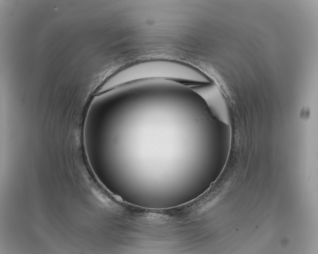 X0000096180393200802011348