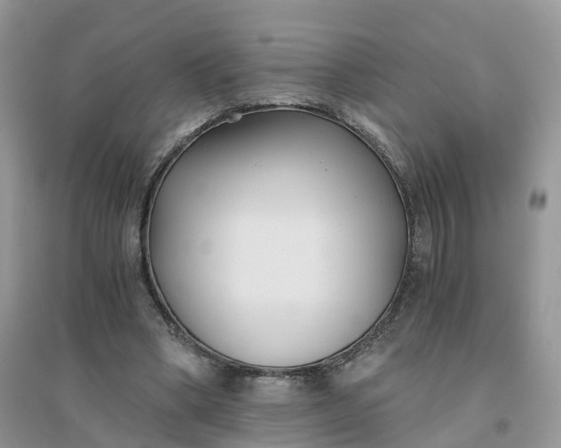 X0000096180394200802011348