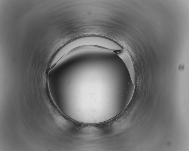 X0000096180397200802011348