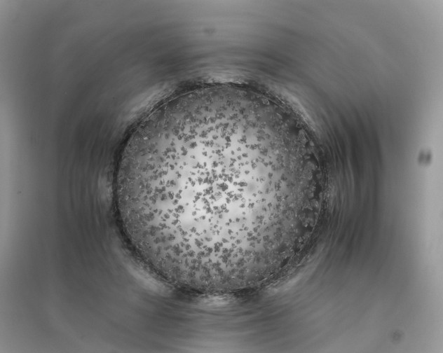 X0000096180402200802011347