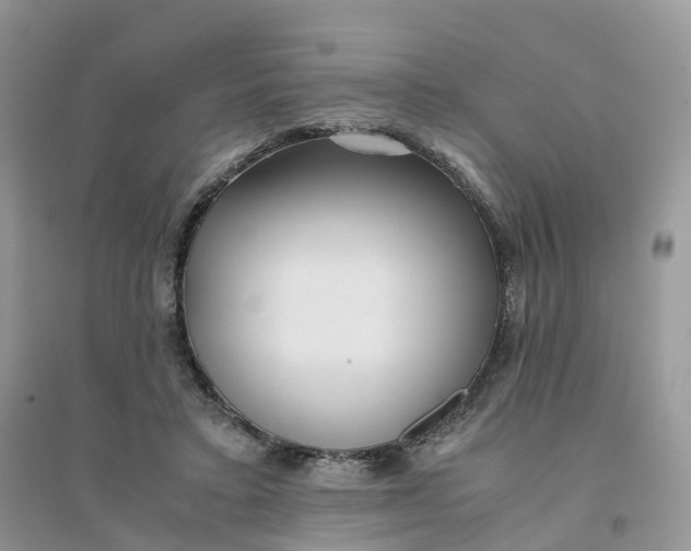 X0000096180403200802011347