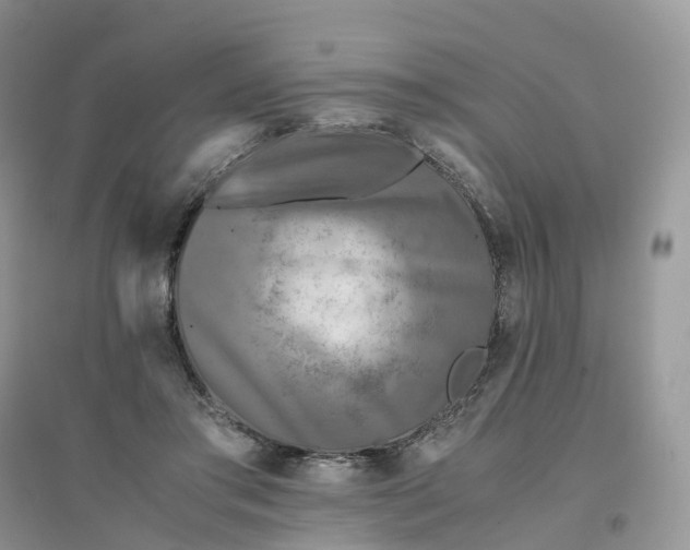 X0000096180405200802011347