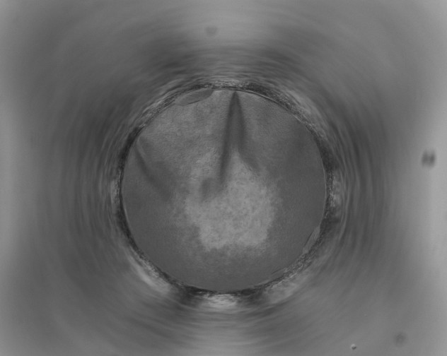 X0000096180409200802011347