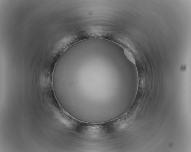 X0000096180411200802011347