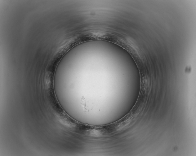 X0000096180412200802011347
